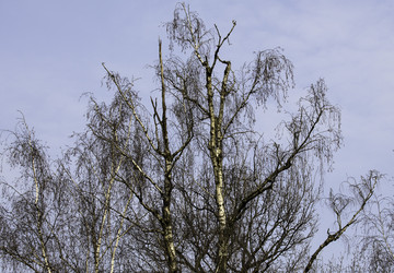 Similar image 6205199