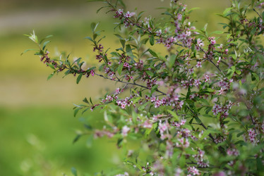 Similar image 6205204