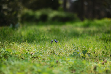 Similar image 6205205