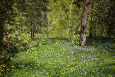 Similar image 6205207