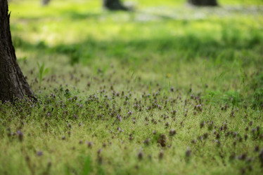 Similar image 6205208