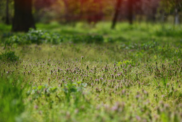 Similar image 6205209