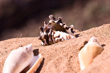 Similar image 6205215