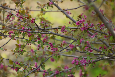 Similar image 6205242