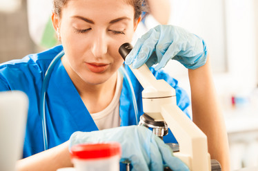 Similar image 6205319