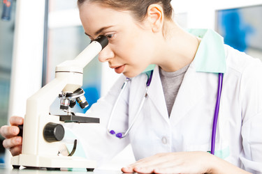 Similar image 6205329