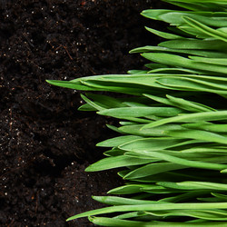 Similar image 6205489