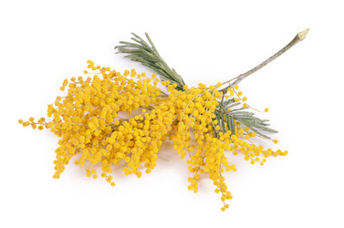 Similar image 6205492