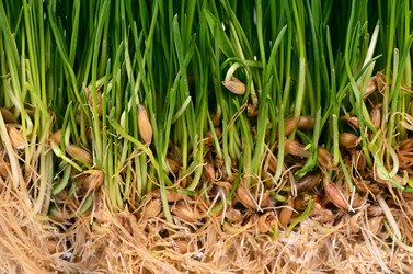 Similar image 6205493