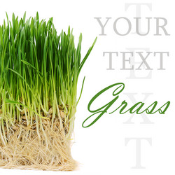 Similar image 6205497