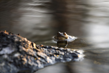 Similar image 6205560