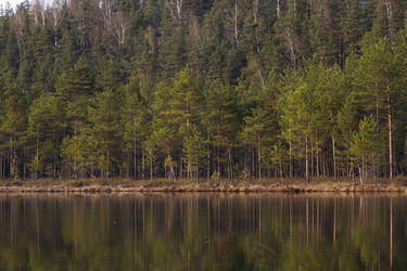 Similar image 6205561