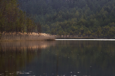 Similar image 6205562