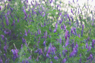 Similar image 6205874