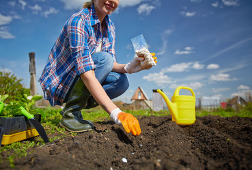 Similar image 6206207