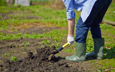 Similar image 6206211