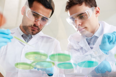 Similar image 6206221