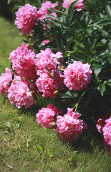 Similar image 6206243