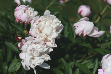 Similar image 6206244