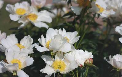 Similar image 6206245