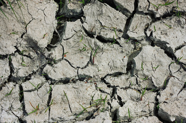 Similar image 6206248