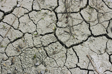 Similar image 6206249