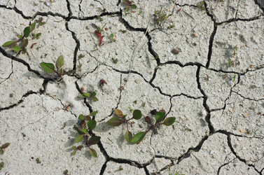 Similar image 6206250