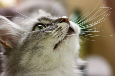 Similar image 6206251