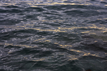 Similar image 6206252