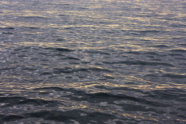 Similar image 6206253