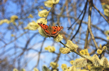 Similar image 6206257