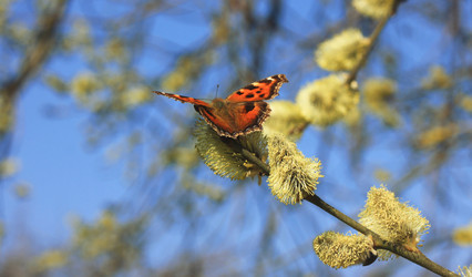 Similar image 6206258