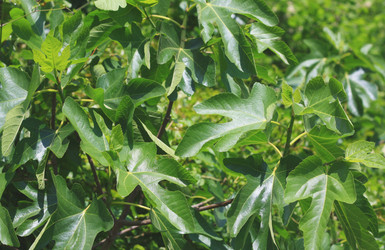 Similar image 6206259