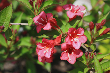 Similar image 6206260