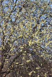 Similar image 6206265