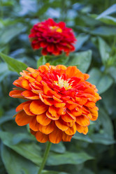 Similar image 6206292