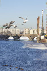 Similar image 6206296