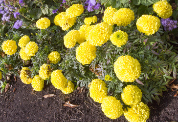 Similar image 6206299