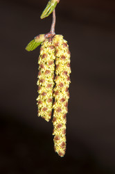 Similar image 6206314