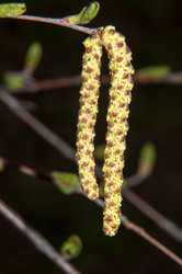 Similar image 6206317