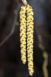 Similar image 6206318