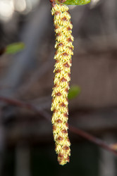 Similar image 6206323