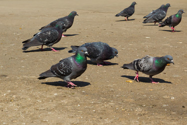 Similar image 6206327