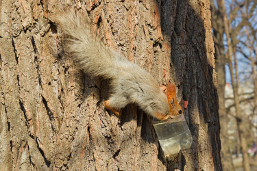 Similar image 6206328