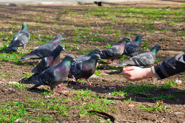 Similar image 6206340