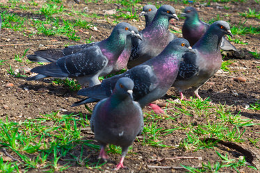 Similar image 6206351