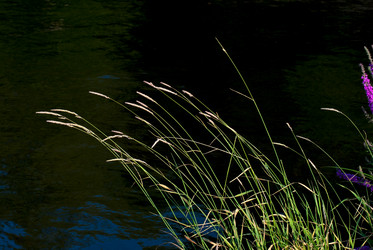 Similar image 6206407