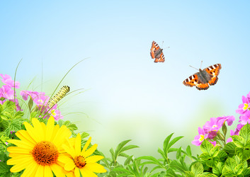 Similar image 6206412