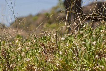 Similar image 6206431