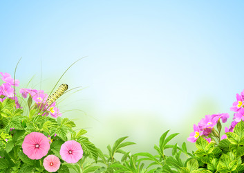 Similar image 6206432